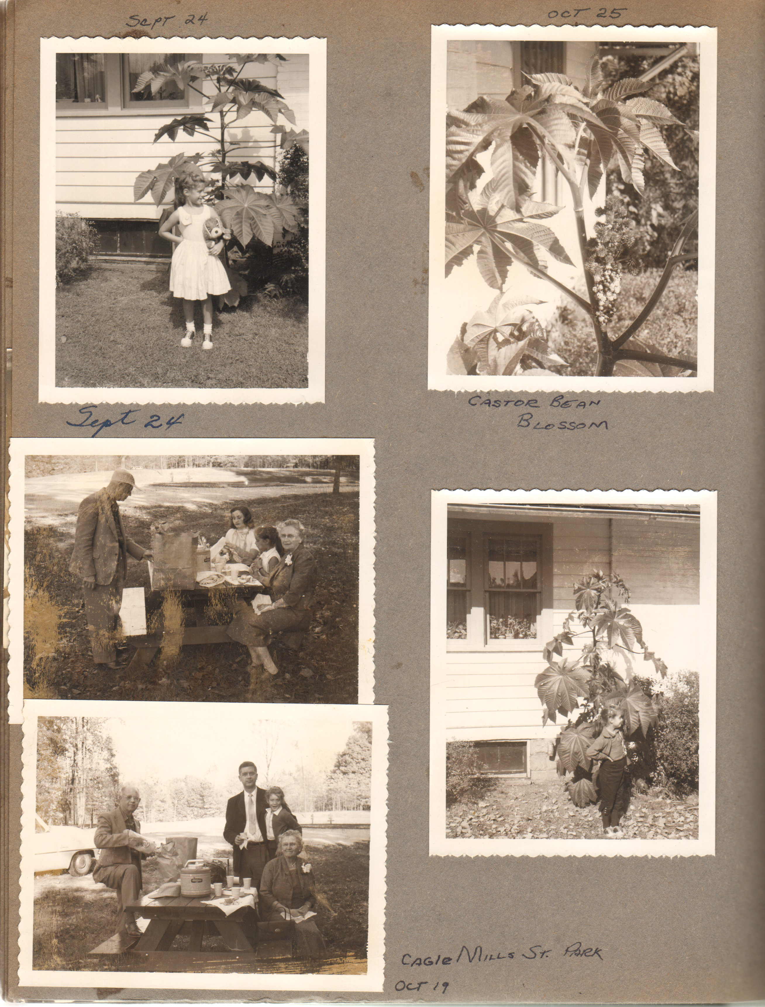Susan and castor bean, Cagle Mills State Park - Curt, Vonnie, John Rosemary, Susan
