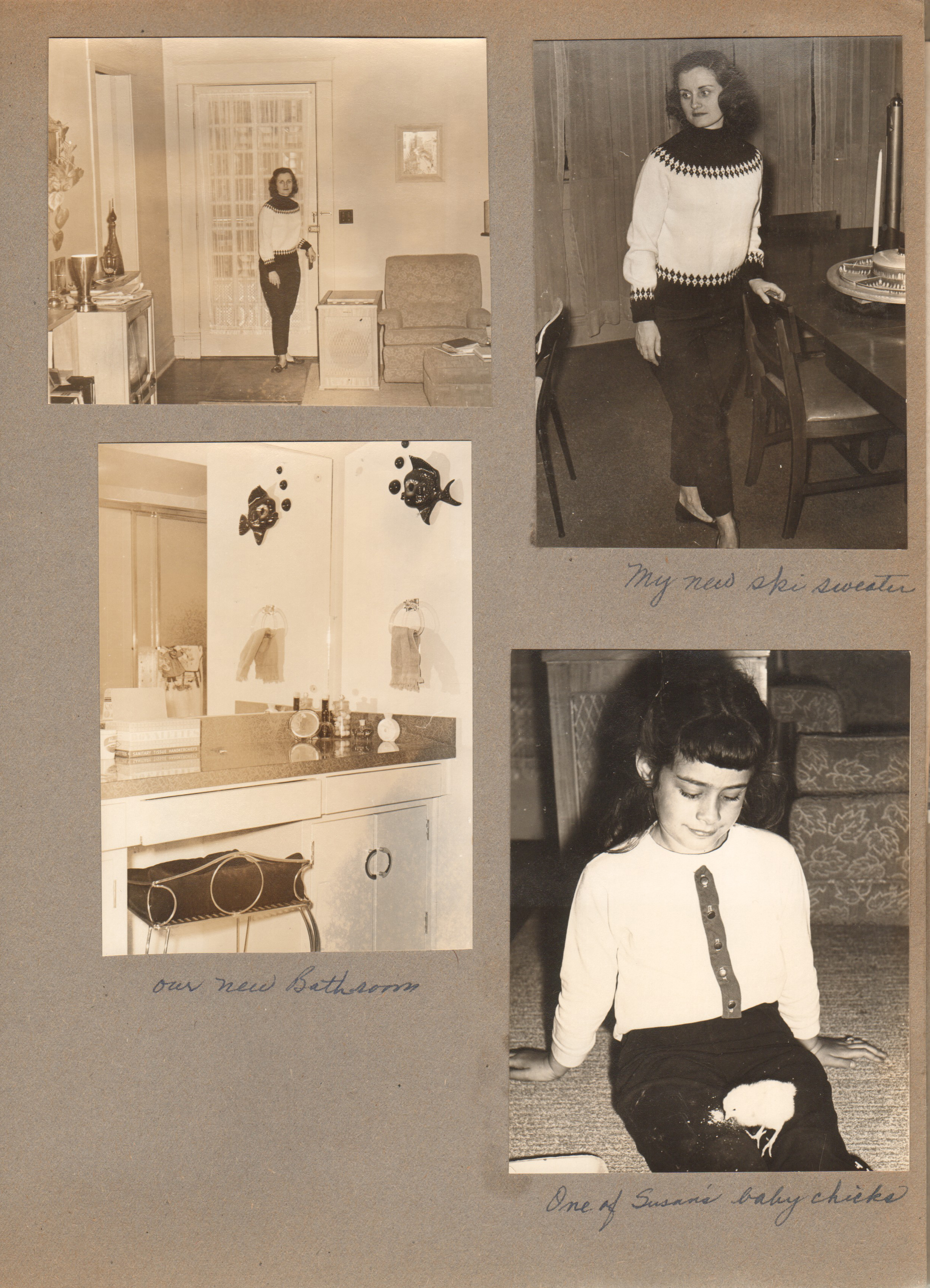 6122 - Rosemary new ski sweater front door, dining room. New bathroom. Susan with baby chicks