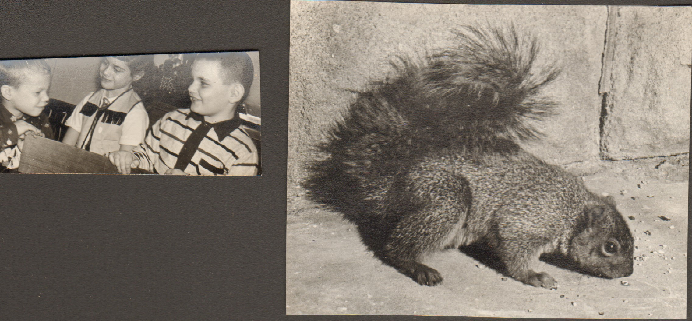 loose pictures - Susan and friends. Squirrel