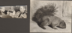 loose pictures - Susan and friends. Squirrel