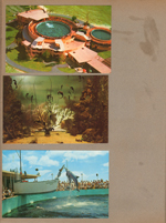 postcards - Seaquarium