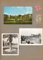 postcard - Seaquarium. Susan palm tree. Miami Seaquarium and ticket stubs