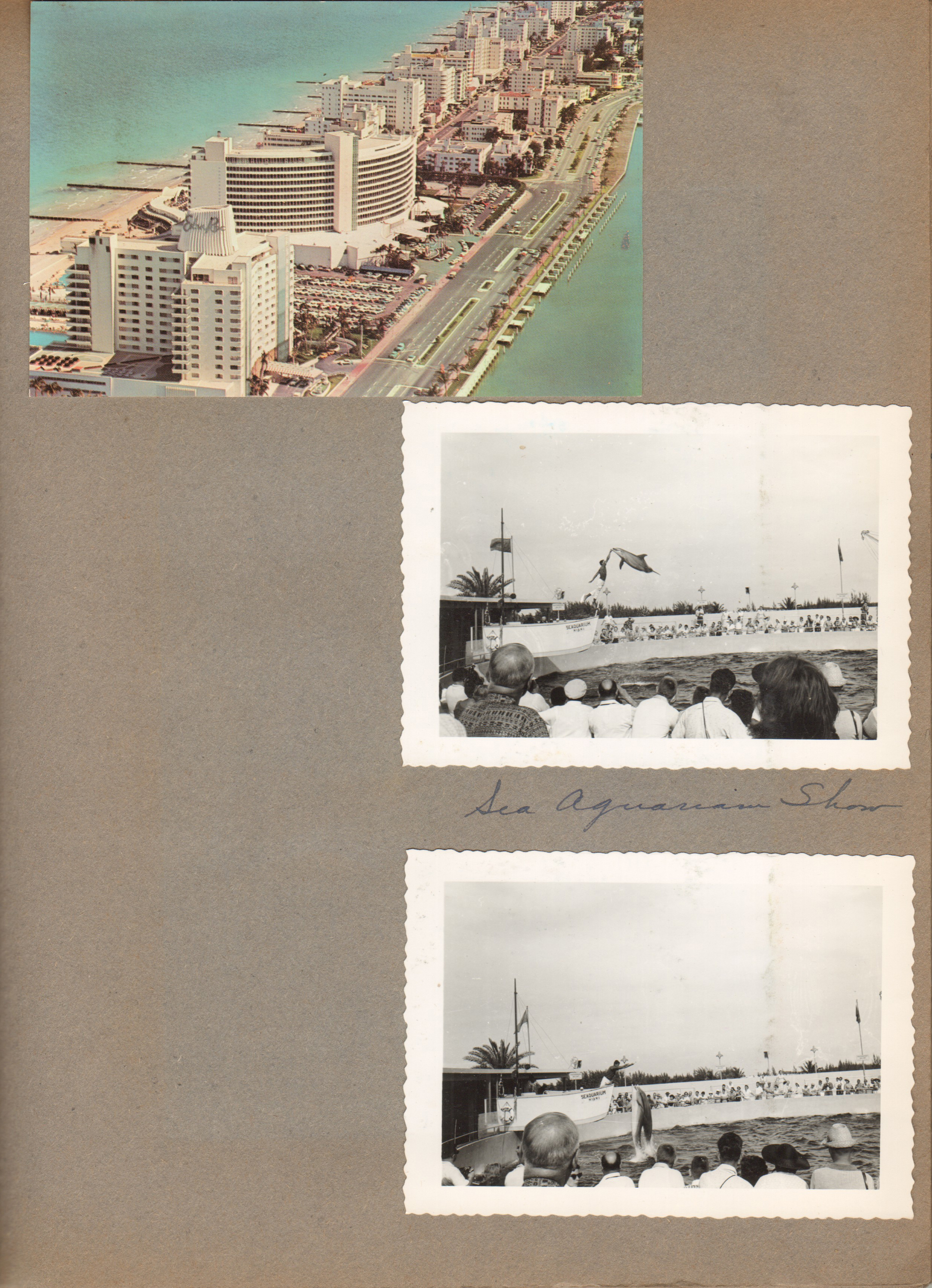 postcard aerial Miami Beach Eden Roc and Fontainebleau. Miami Seaquarium show