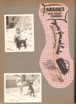 Hollywood Beach Florida - Neptune -  Susan and dog. cutout from bag Saxon's Candies