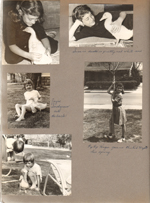 Susan with duck. Jayne Snodgrass with duck (Snodgrass's house is 6114). Susan in front yard in Girl Scout uniform - Pop Pop Hague gave us this red maple.