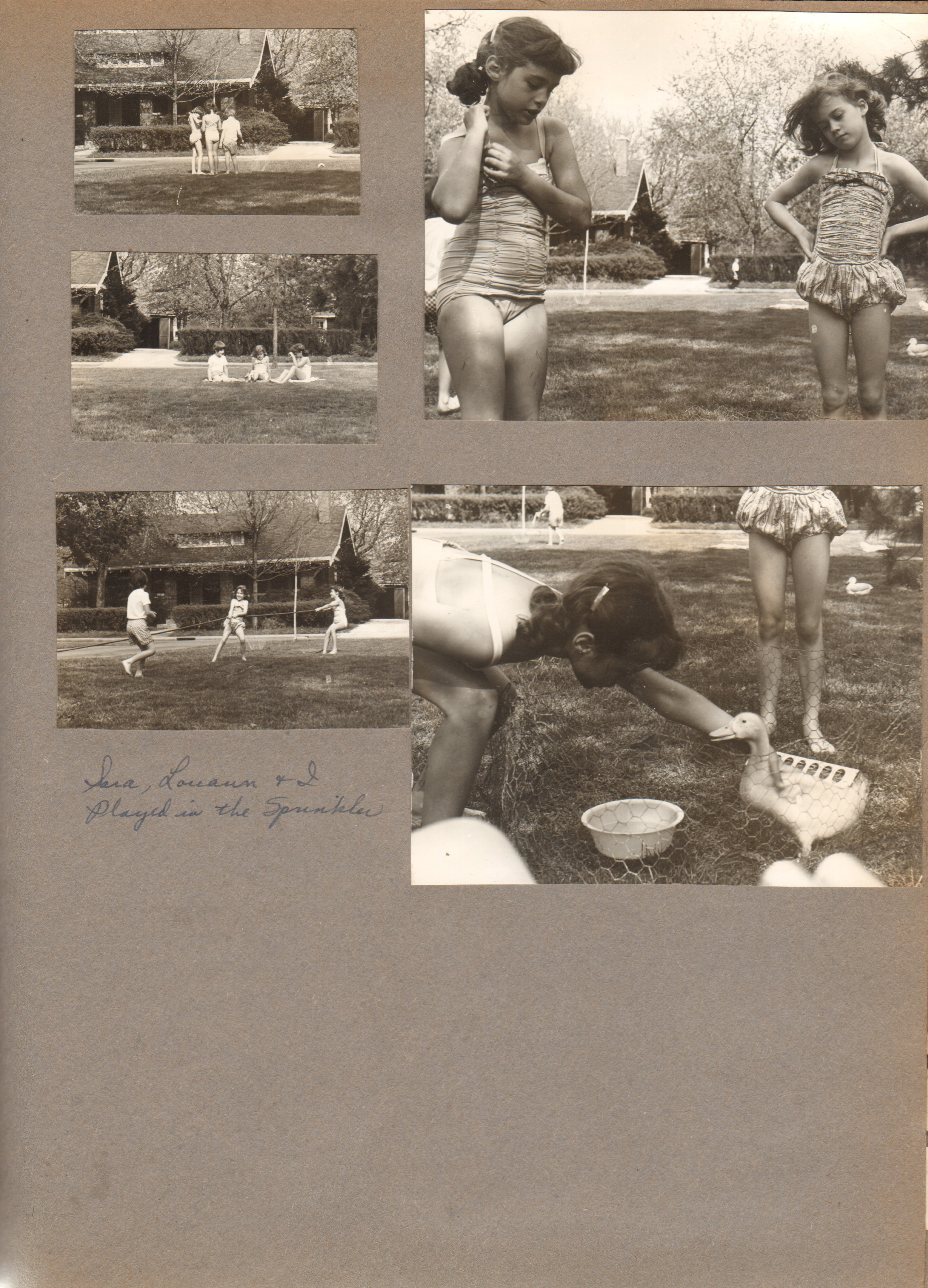 6122 yard - Sara, Louann and Susan played in the sprinkler - duck