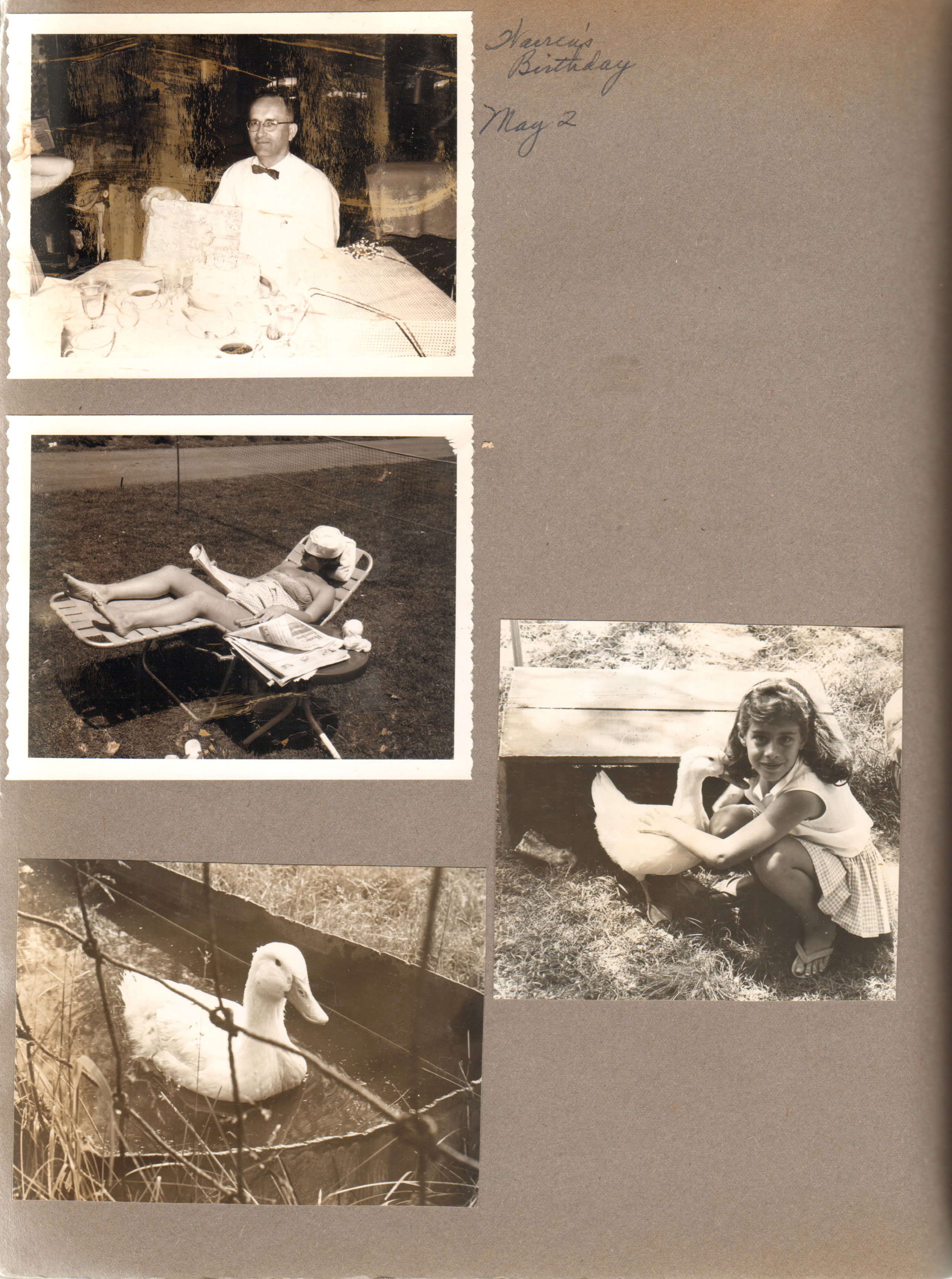 Warren's Birthday. Rosemary sunbathing yard. Susan with duck.