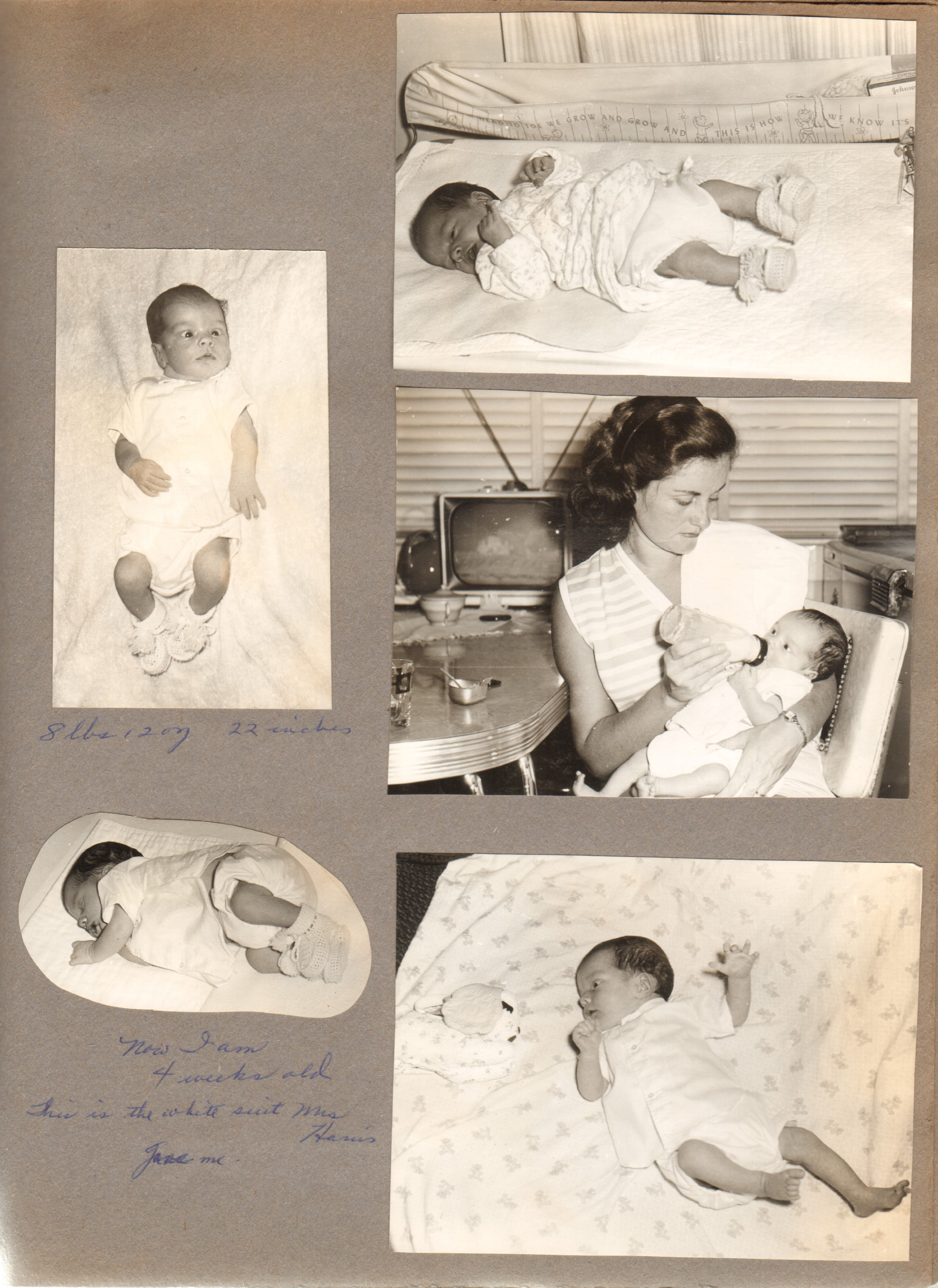 Baby pictures Alan - 6122 kitchen Rosemary feeding