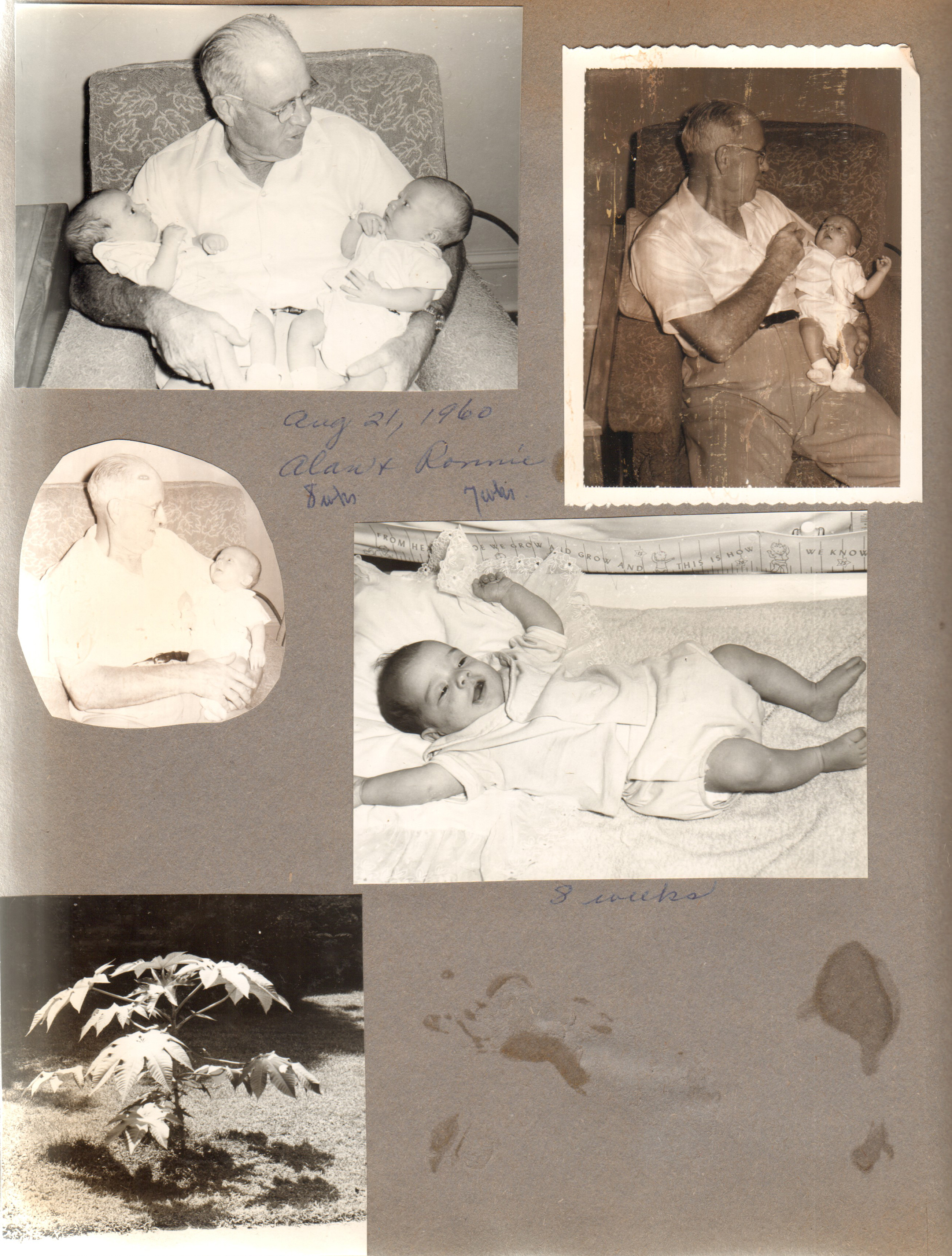Baby pictures Alan and Ronnie - Curt. Castor beans at 6122