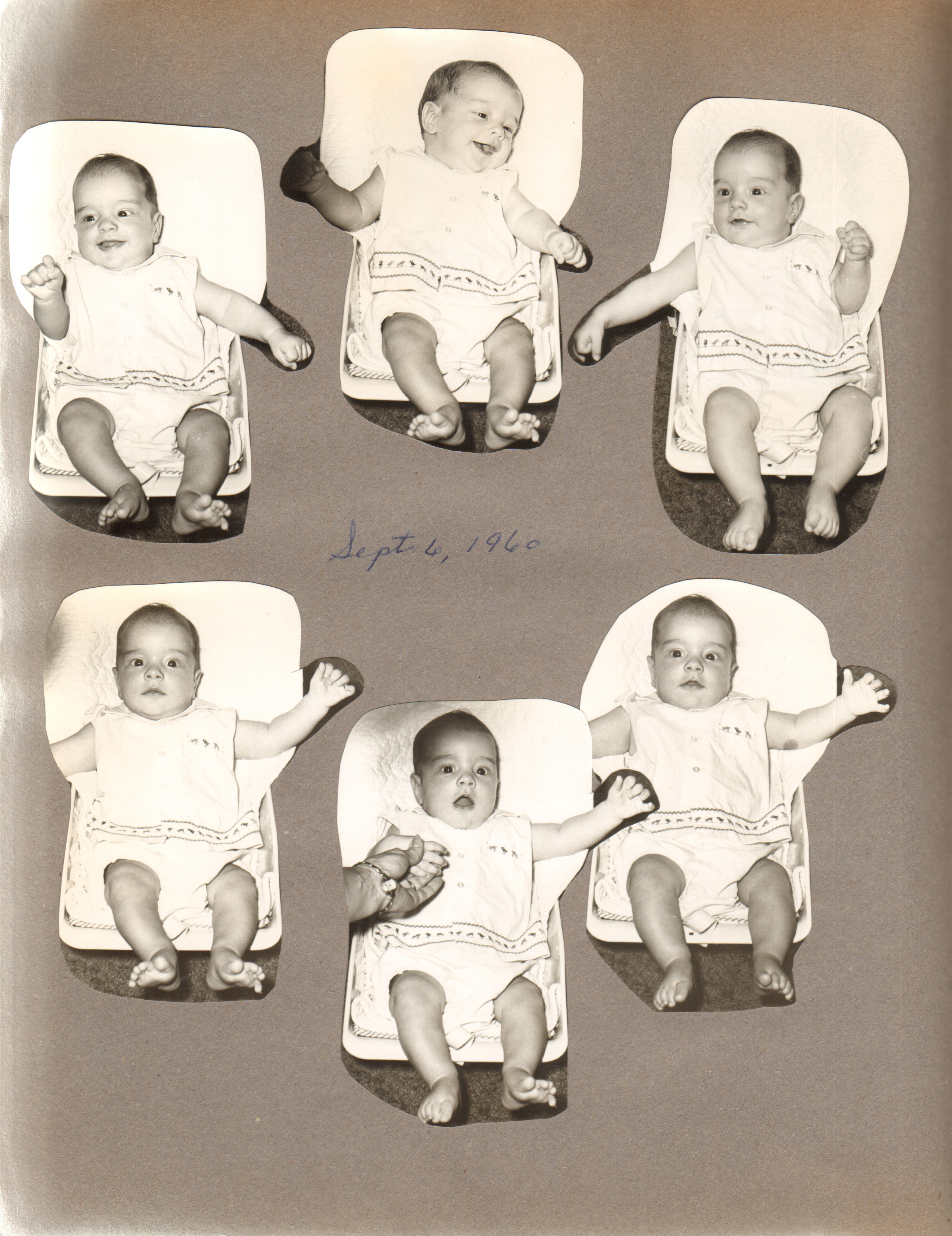 Baby pictures Alan
