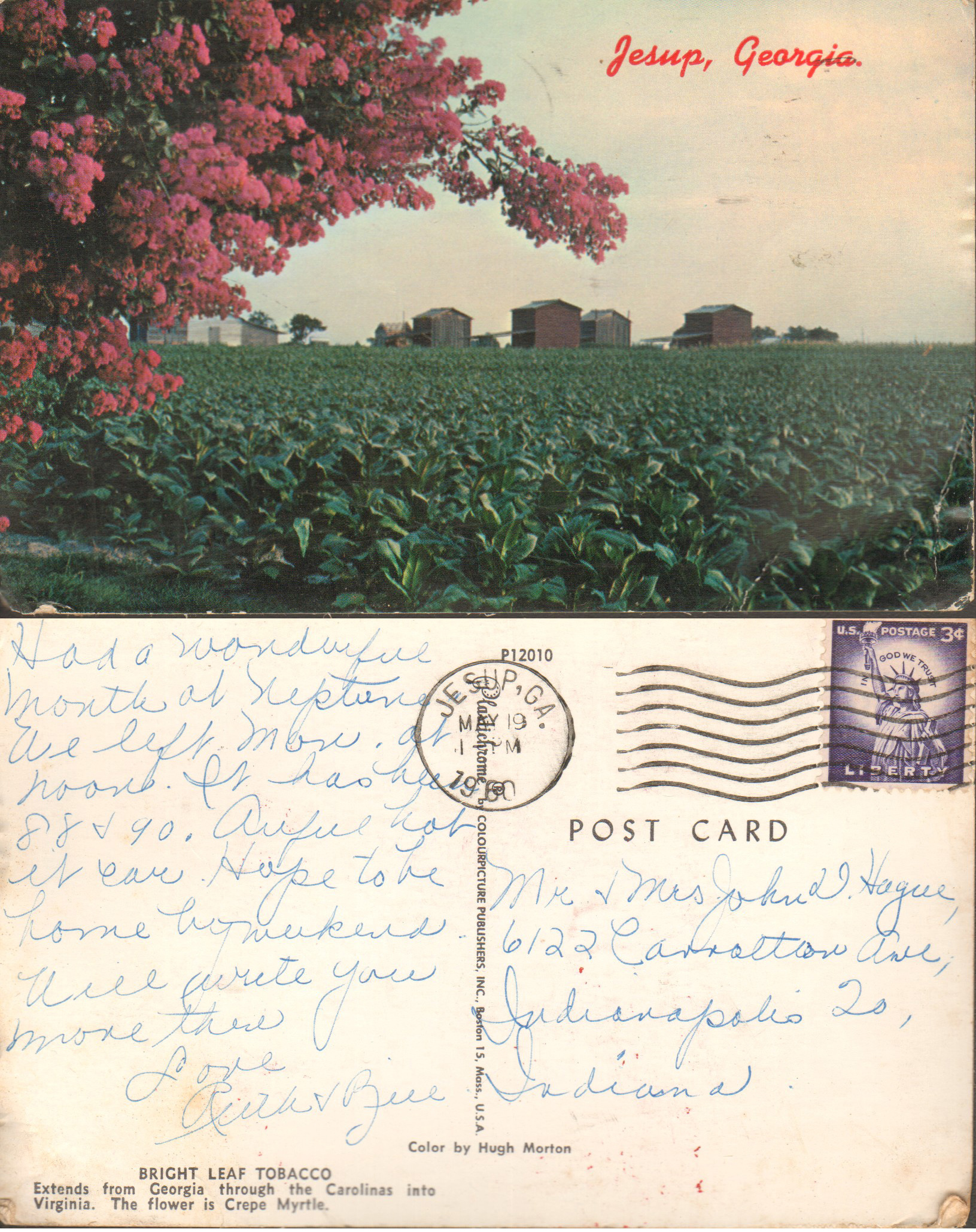 postcard Jesup, Georgia from Ruth 