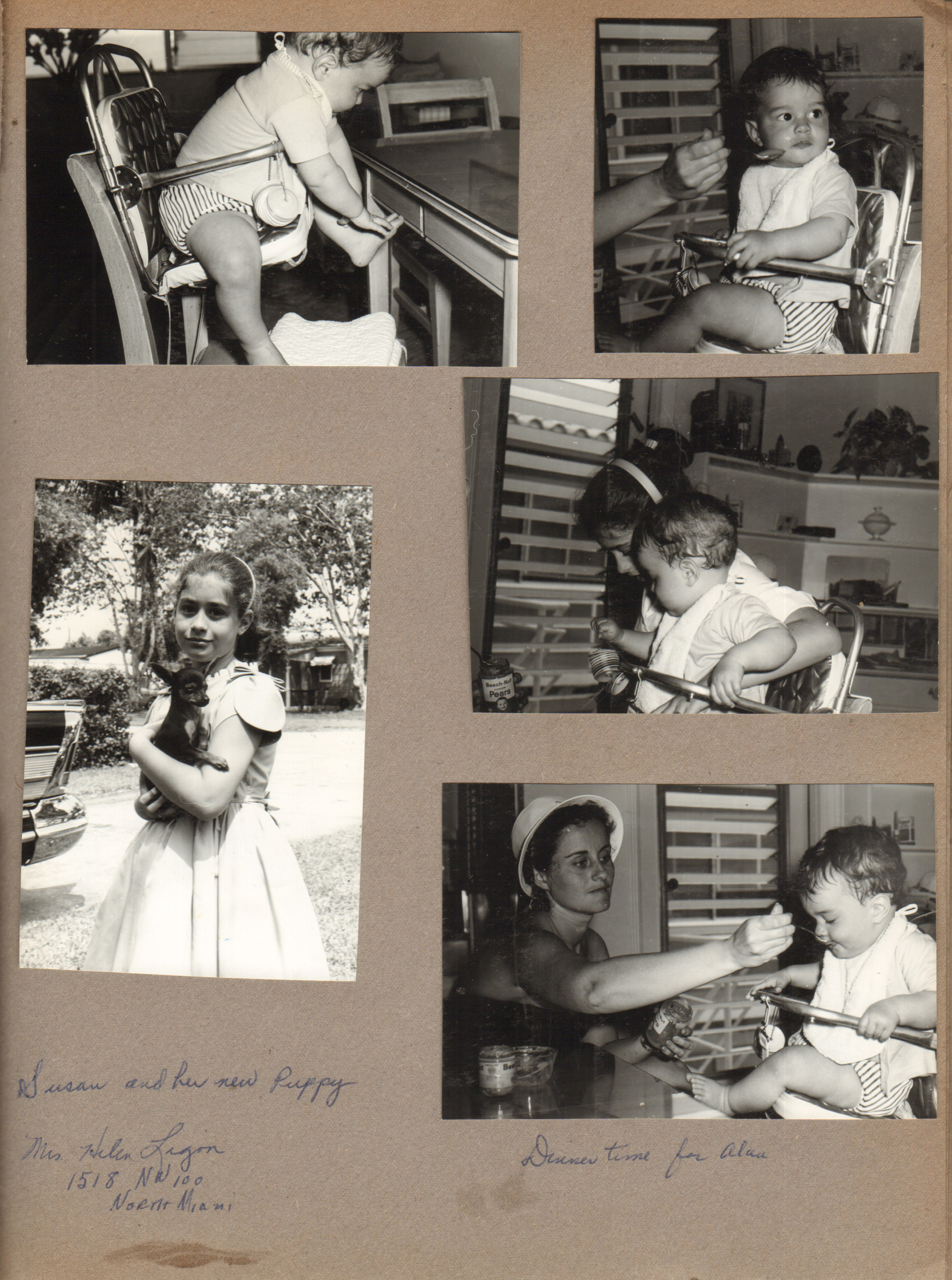 Hollywood Beach - Neptune - Alan highchair by table. Rosemary feeding Alan in apt. Susan with new Toy Manchester puppy (the new Princess). (Mrs Helen Lagon, 1518 NW 100, North Miami - maybe the dog breeder?)