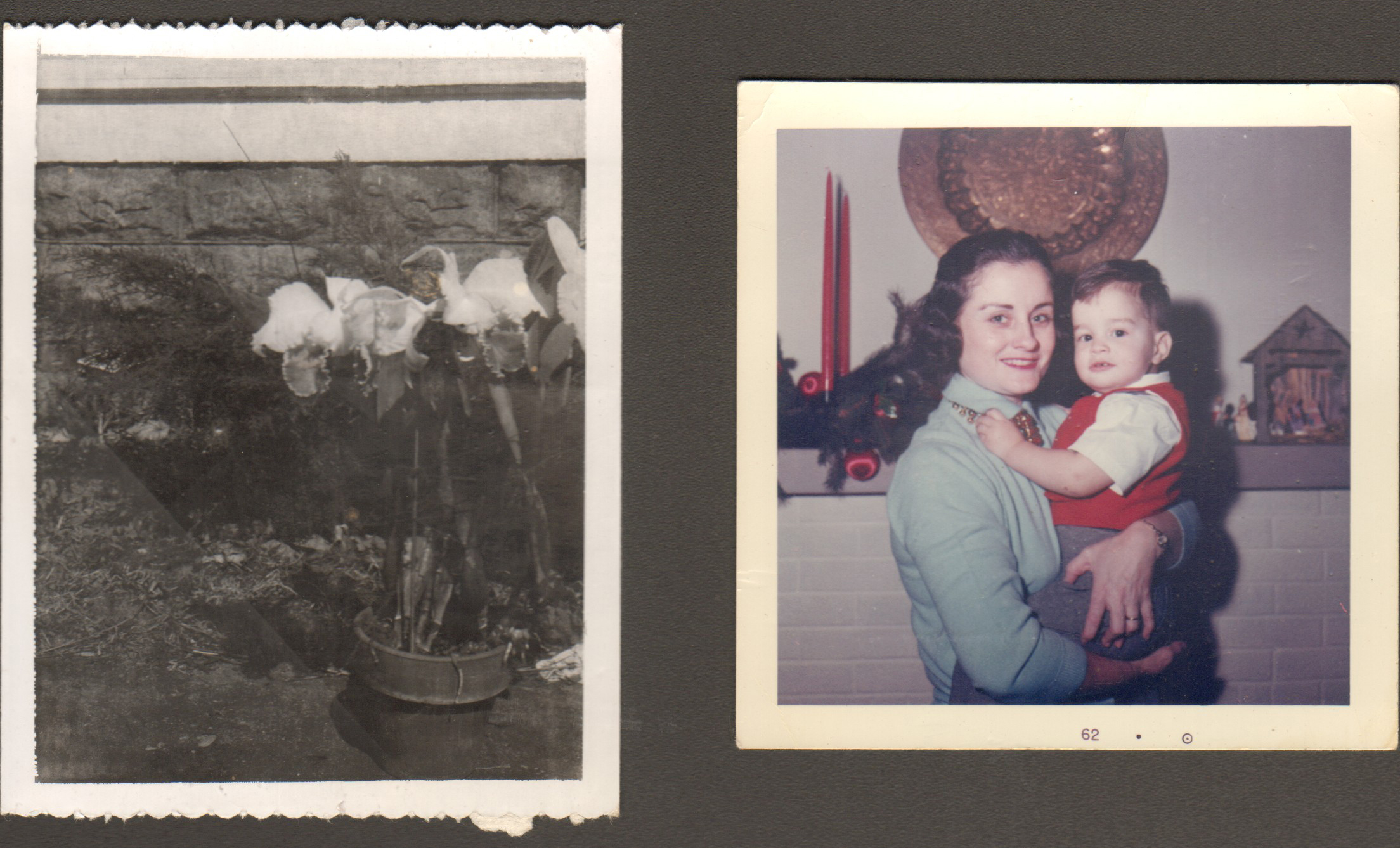 loose photos - lily in pot outside. Rosemary and Alan my fireplace
