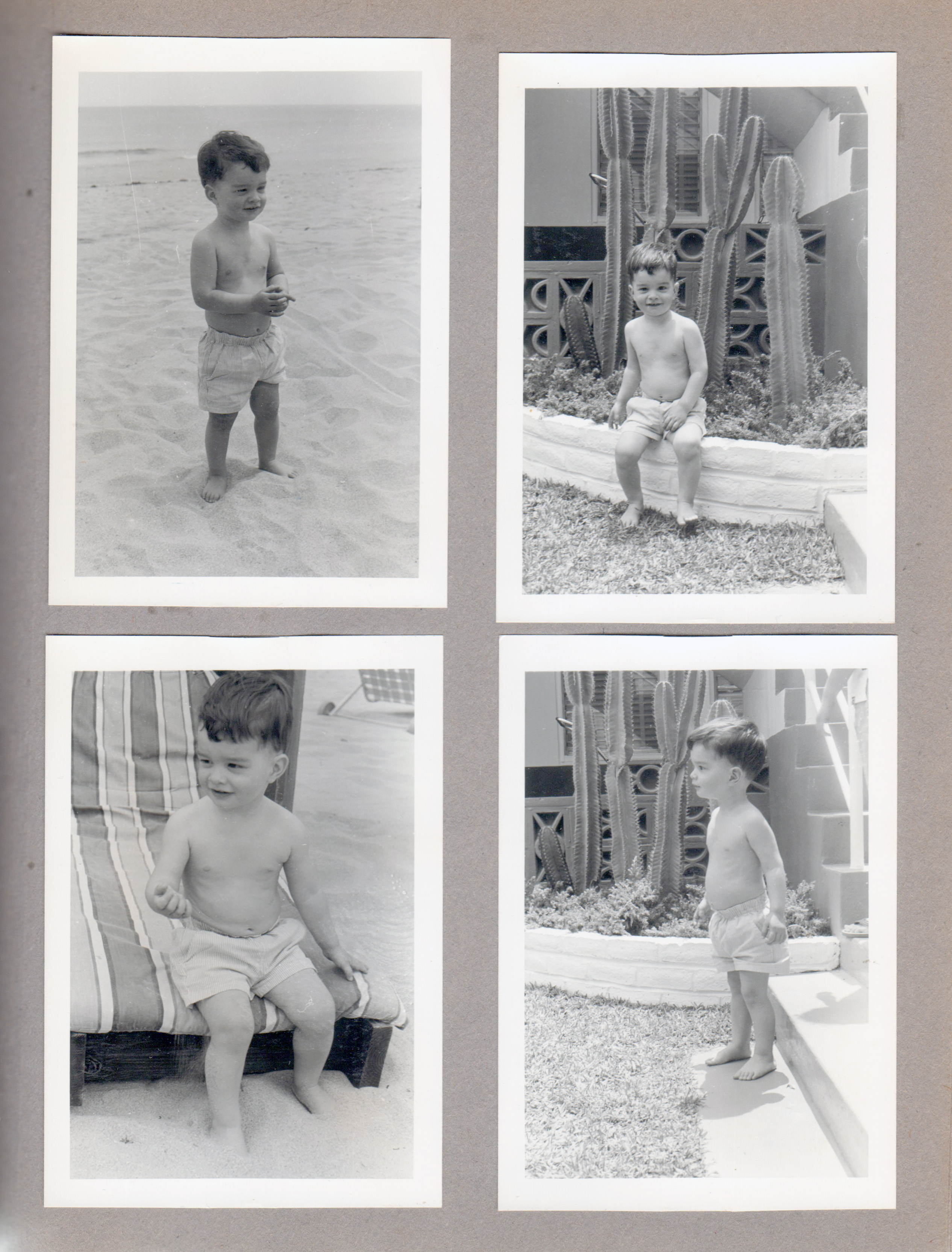 Hollywood Beach Neptune Apartments - Alan on beach, by cactus, in cabana.