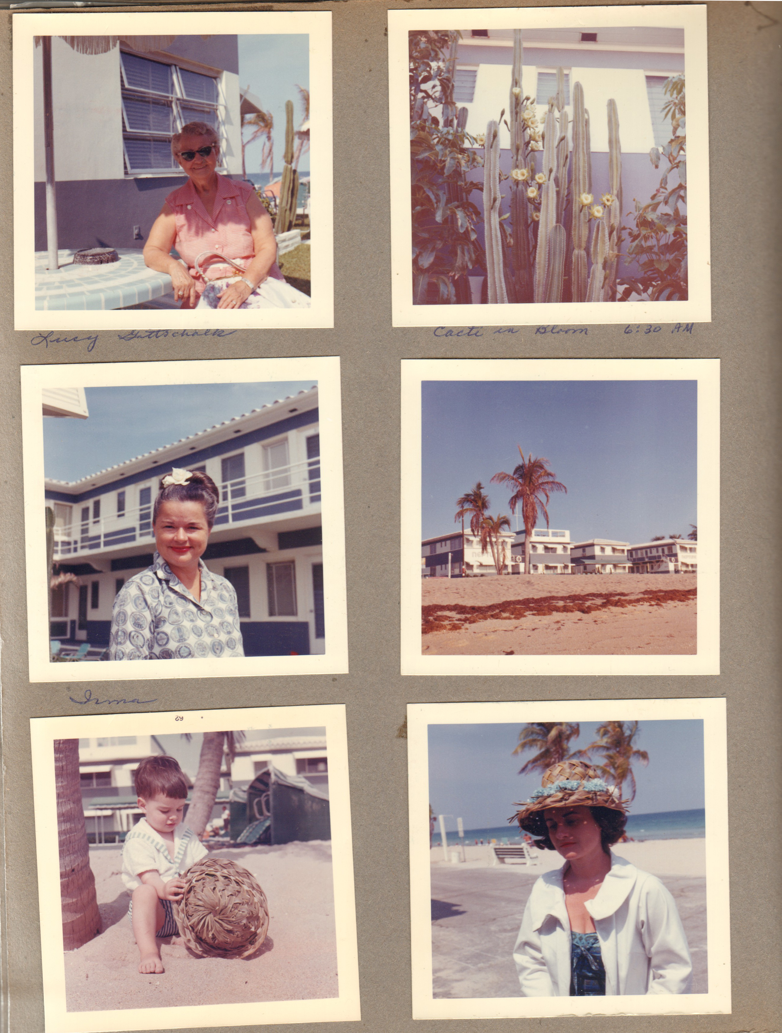 Hollywood Beach Neptune Apartments - Lucy Gottschalk. Cacti in bloom 6:30 am. Irma Davis (owner). Neptune from beach. Alan with palm frond hat on beach. Rosemary wearing hat.