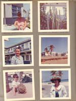 Hollywood Beach Neptune Apartments - Lucy Gottschalk. Cacti in bloom 6:30 am. Irma Davis (owner). Neptune from beach. Alan with palm frond hat on beach. Rosemary wearing hat.