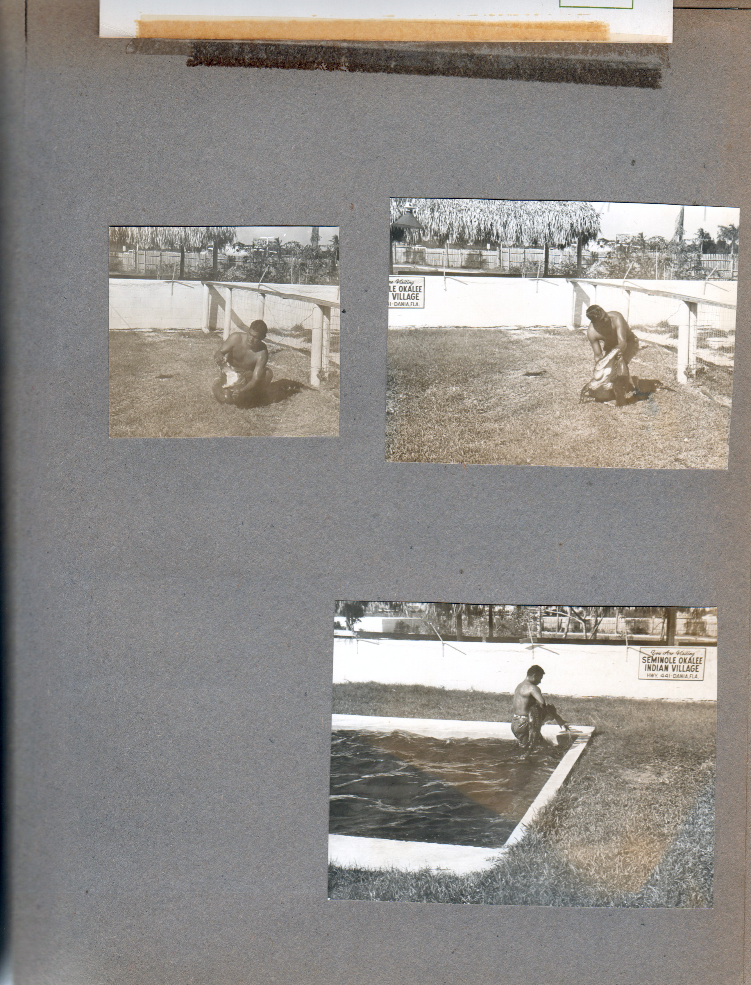 Seminole Okalee Indian Village, Hollywood, Florida - alligator wrestling.