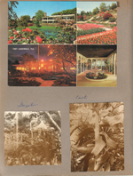 Postcard - Patricia Murphy's Candlelight Restaurants. Gazebo. Cacti.