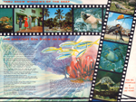 Miami Seaquarium brochure