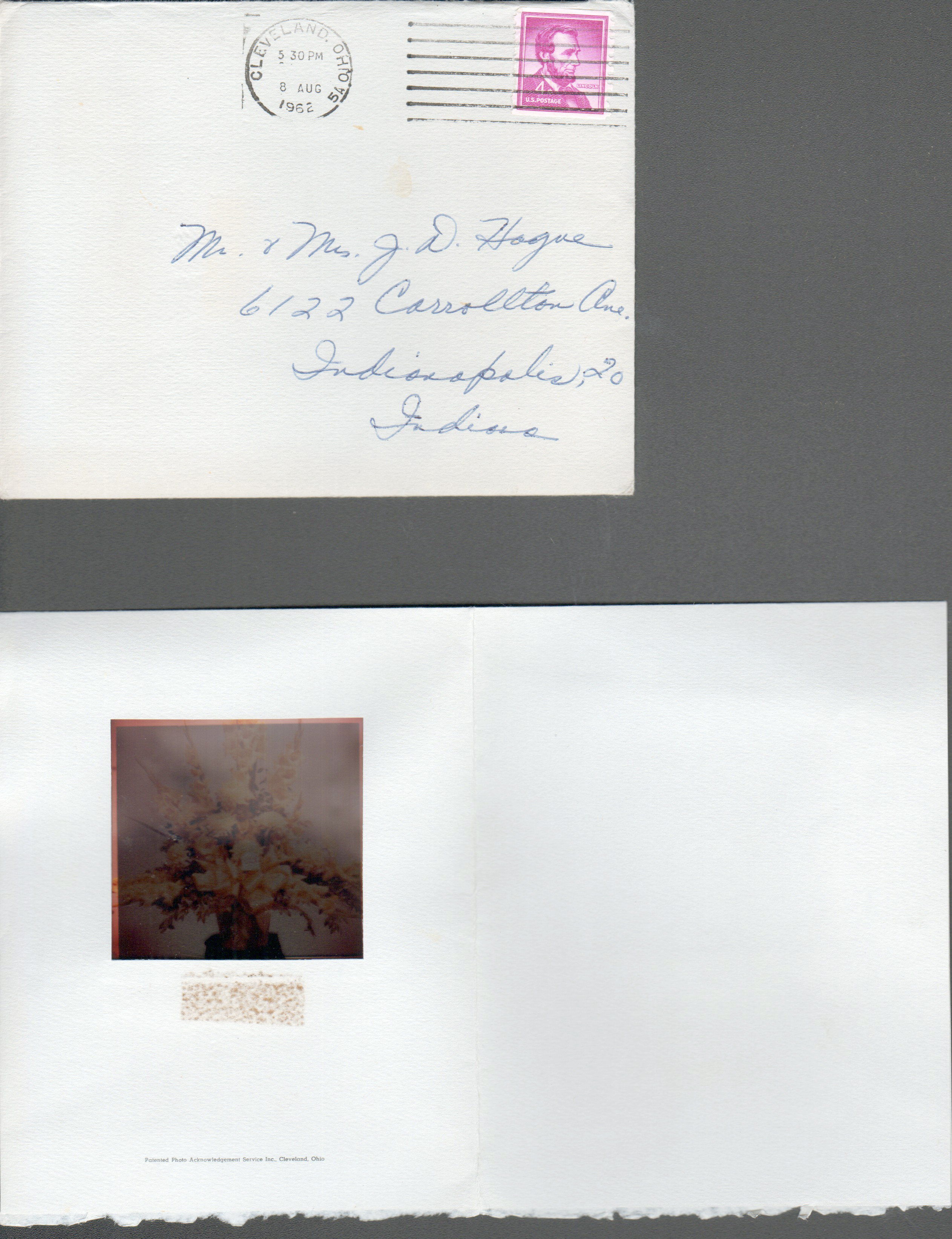 note to the Hagues - film of flower