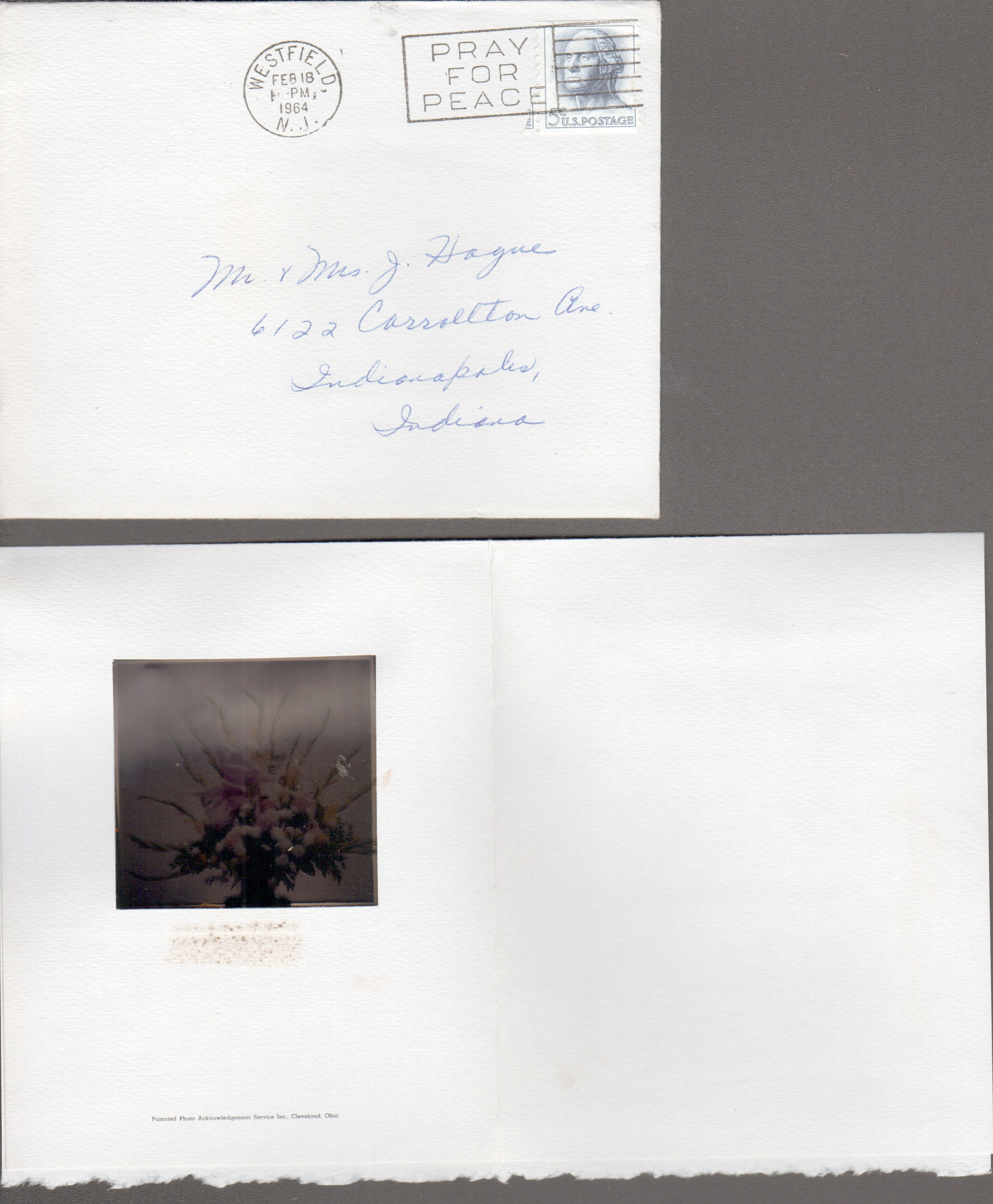 note to the Hagues - film of flower