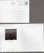 note to the Hagues - film of flower