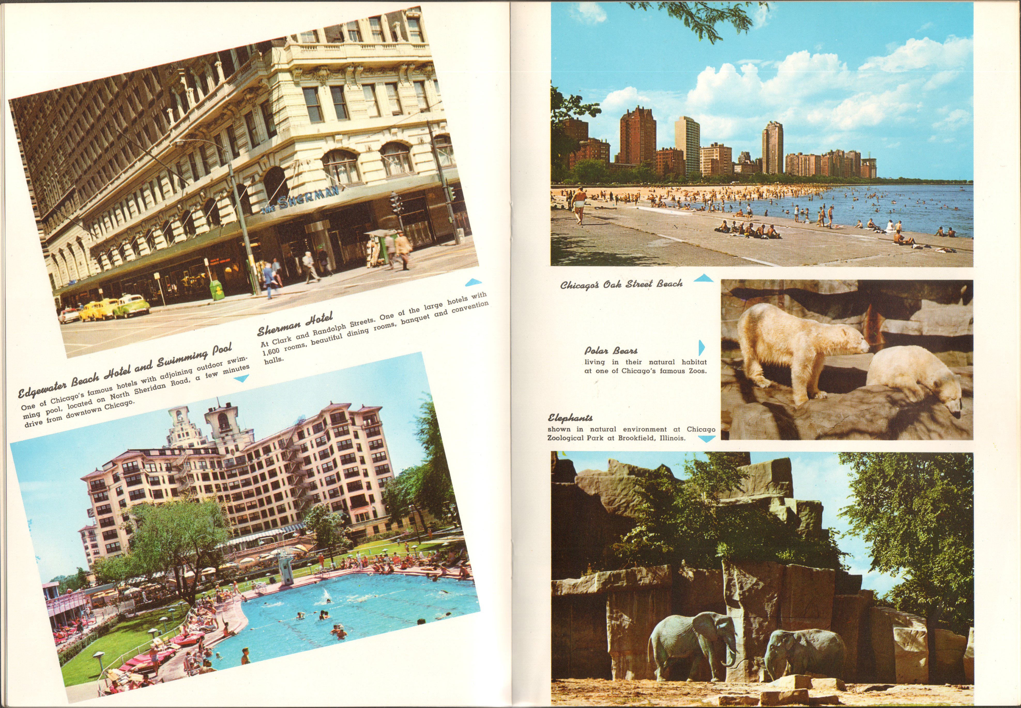Chicago in full color booklet - Edgewater, Sherman Hotel, Oak Street beach, Brookfield Zoo.