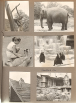Chicago - Chicago Zoological Park