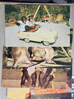 Monkey Jungle - Miami - postcard NCP-3427 13924 - Joy Ride 