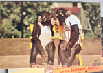 Monkey Jungle - Miami - postcard HSC-F24 Lovers