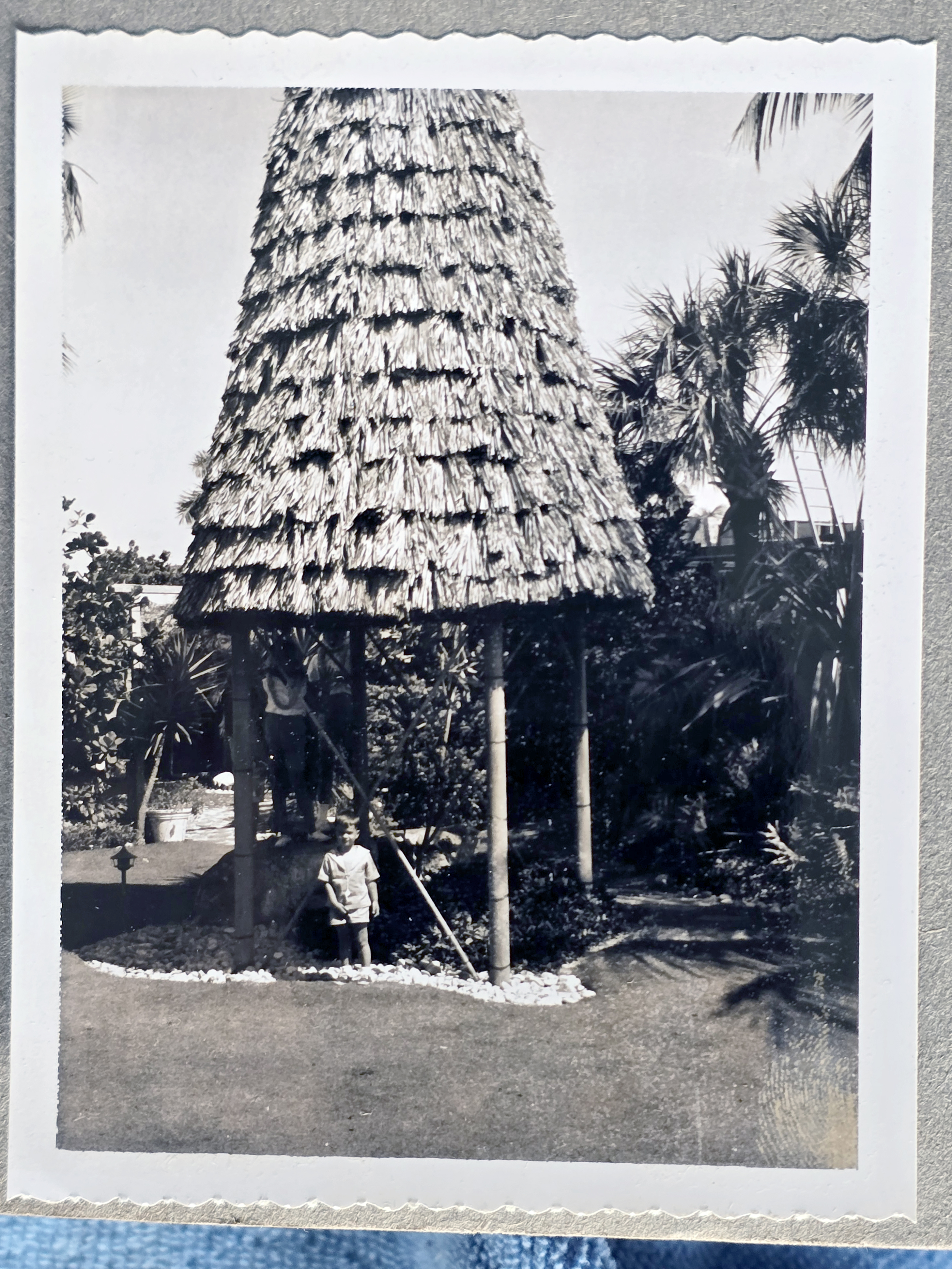 South Pacific Polynesian Restaurant - Alan at tall thatched room