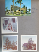 Postcard 59853 - Barefoot Trader - Pompano Beach. Susan and Alan in hammock. Palms in yard.