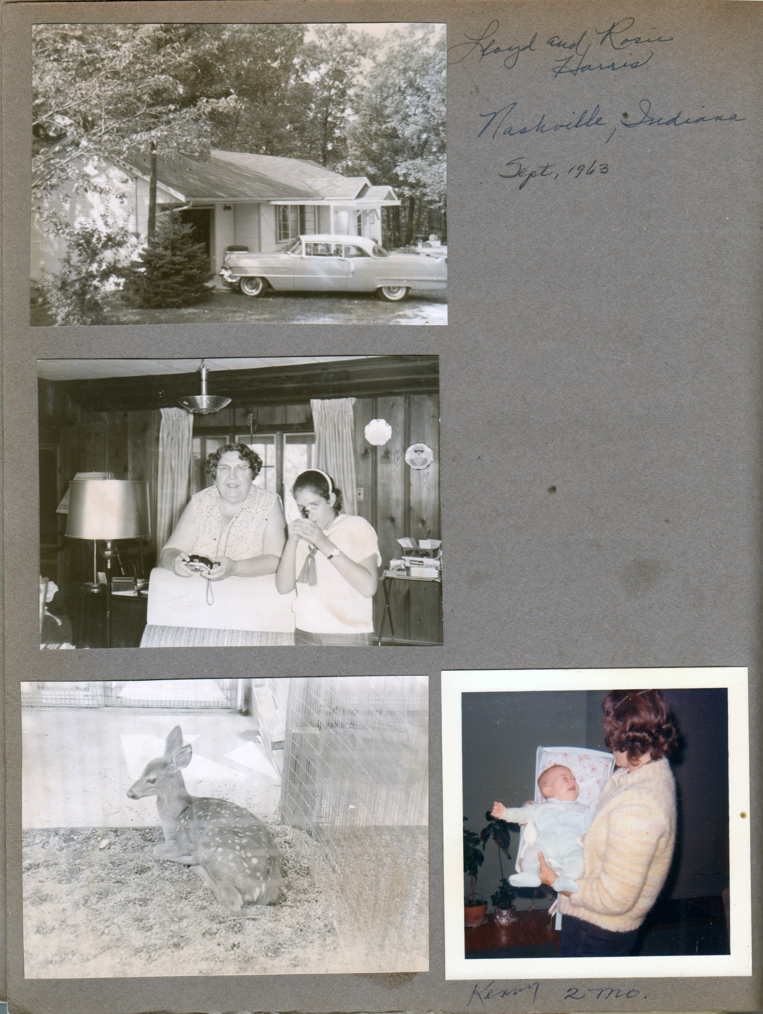Lloyd and Rosie Harris house in Nashville, Indiana. Rosie and Susan. Deer. Kenny 2 mo and Rosemary.