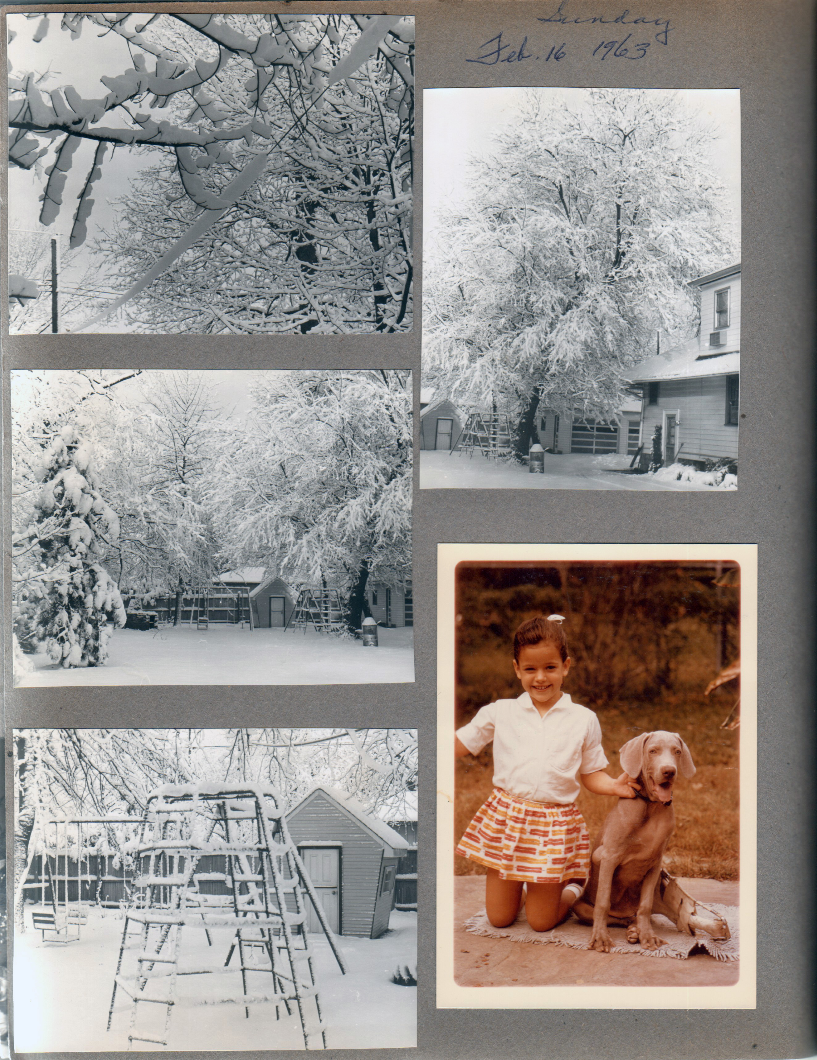 Shots around 6122 heavy snow. Cindy and Happy Talk (dog)