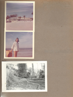 Ft Myers beach. Susan. Big tree roots