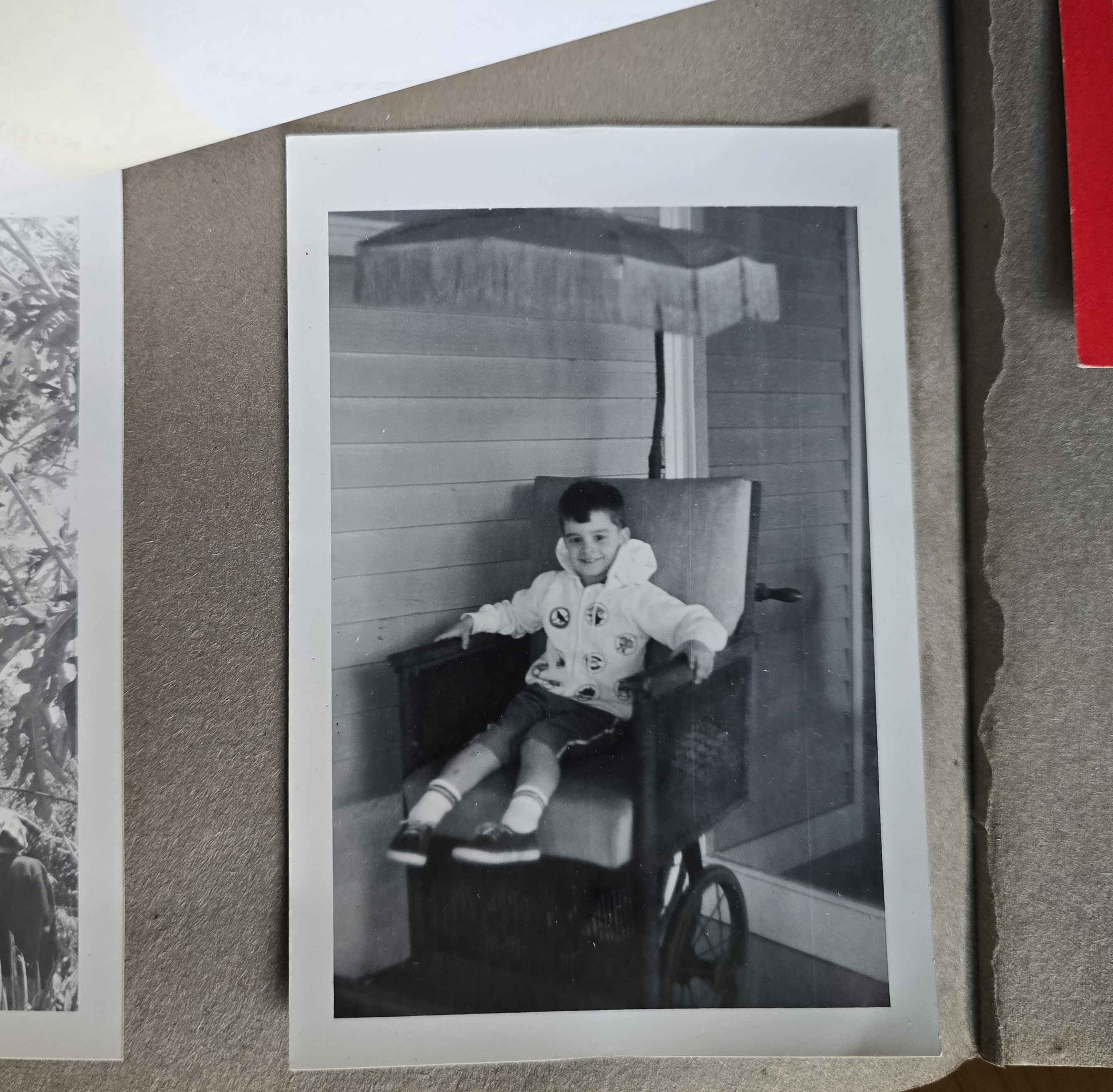 Thomas A Edison Winter Home - Ft Myers, Florida - Alan in an odd surrey chair