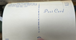 postcard back 53638-B - Coral Plaza Motel