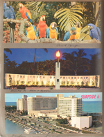 Postcard P30398 - Parrot Jungle - Miami - Colorful Macaws. Postcard P49408 - Torch of Friendship JFK memorial Postcard P55034 - Surfside 6 houseboat at Fontainebleau Resort Hotel - Miami Beach