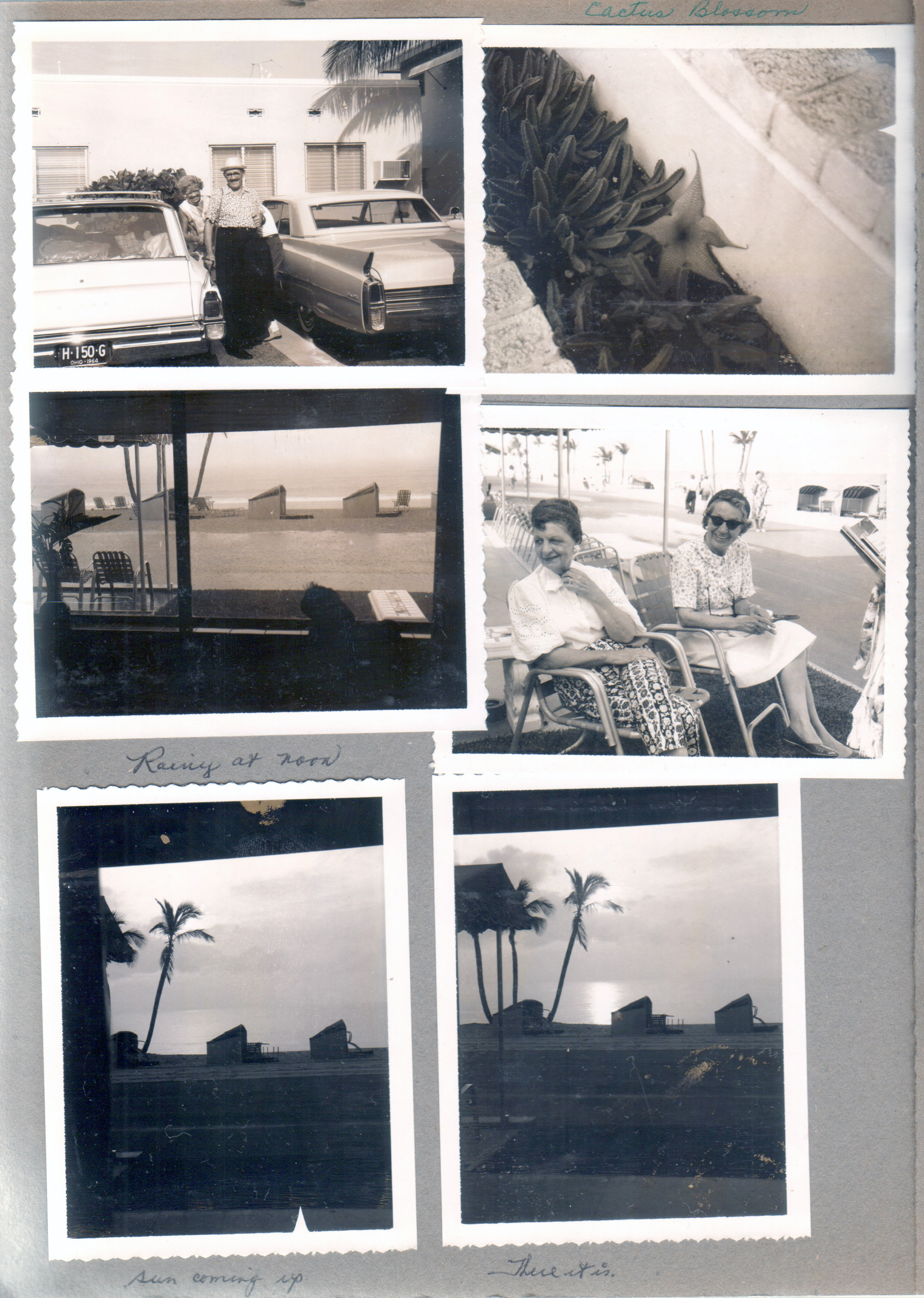 Hollywood Beach - Neptune - Al and Gladys - The Haenny's 3315 Old Orchard Lane, Youngstown 11, Ohio. Noon rain. Mrs Butts and Mrs Faulkner. Sunrise