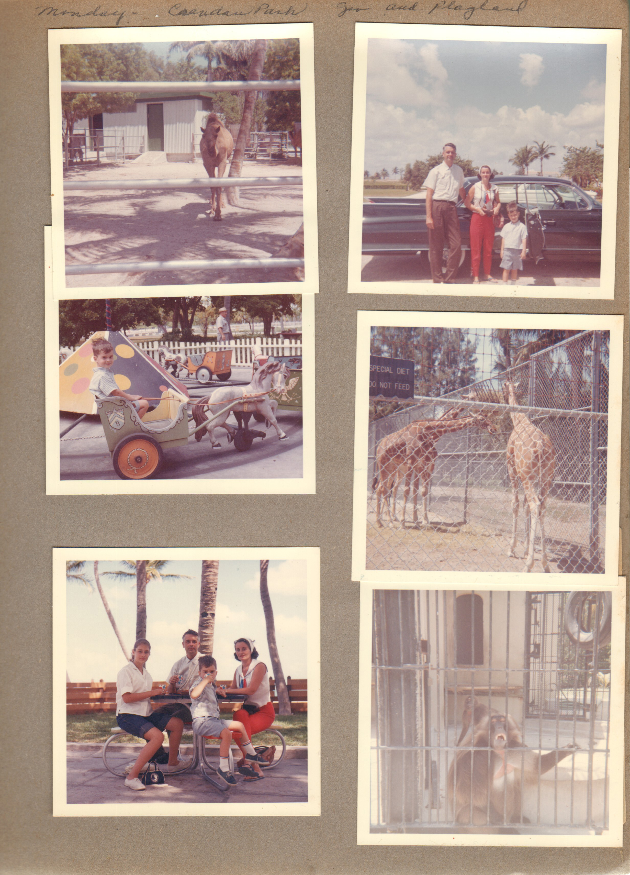 Florida - Crandan Park Zoo and Playland - camel. John Rosemary and Alan at car. Alan in ride. Giraffes. Susan, John, Alan, Rosemary at table. Monkey.