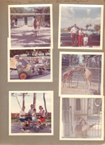 Florida - Crandan Park Zoo and Playland - camel. John Rosemary and Alan at car. Alan in ride. Giraffes. Susan, John, Alan, Rosemary at table. Monkey.