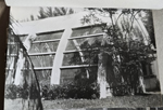 Florida - gardens