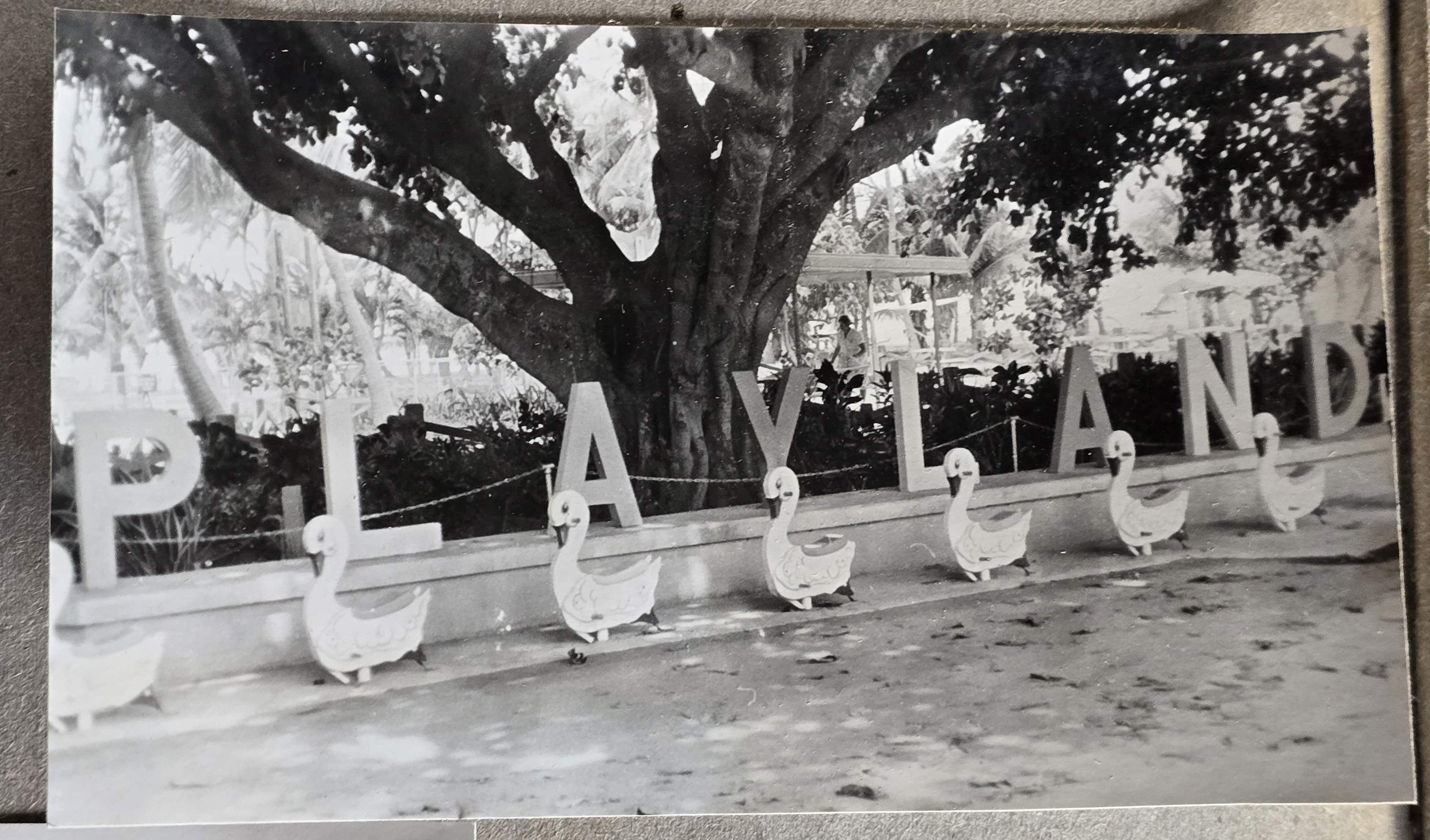 Florida - Playland - letters and ducks