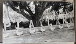 Florida - Playland - letters and ducks