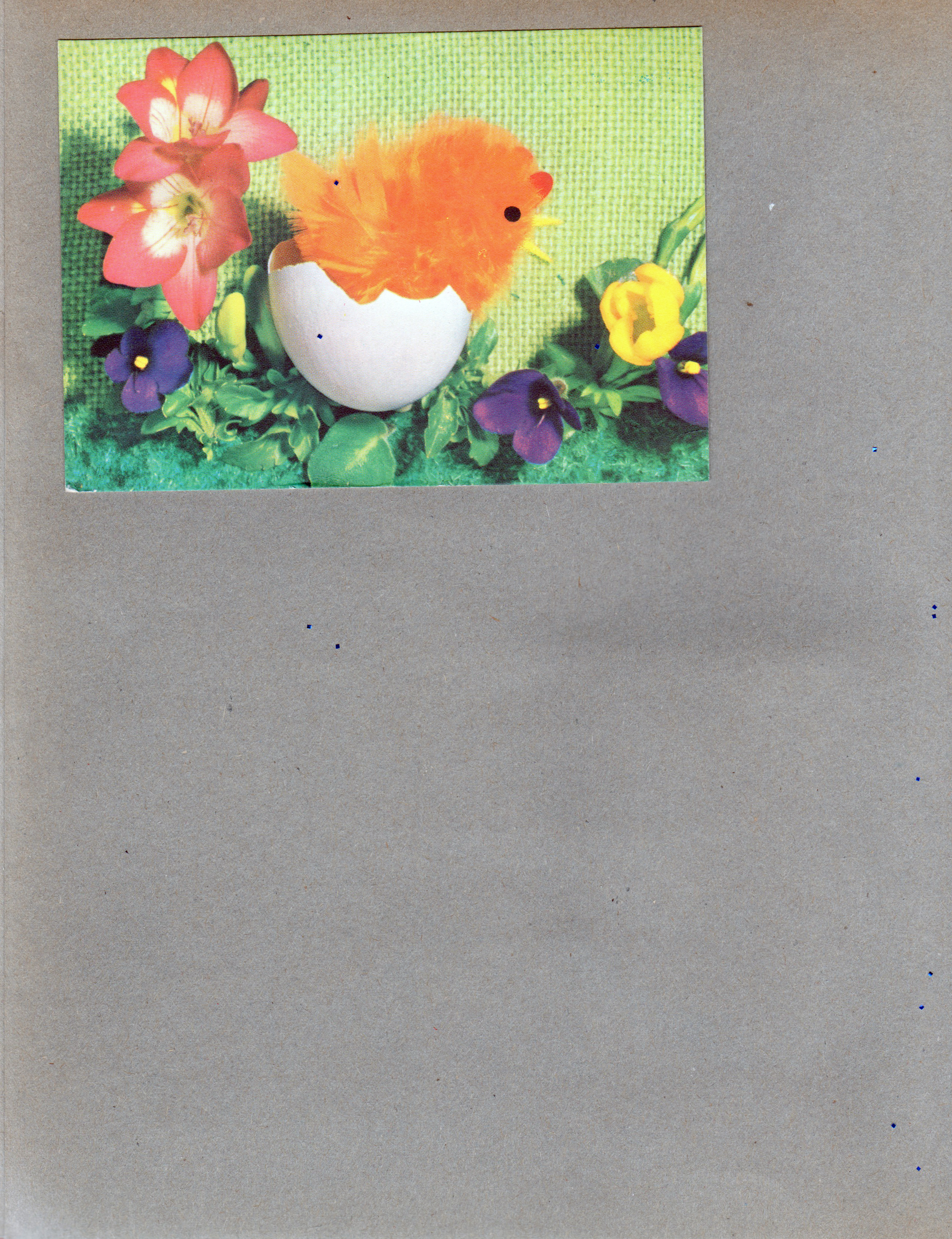 Salminen postcard from Finland