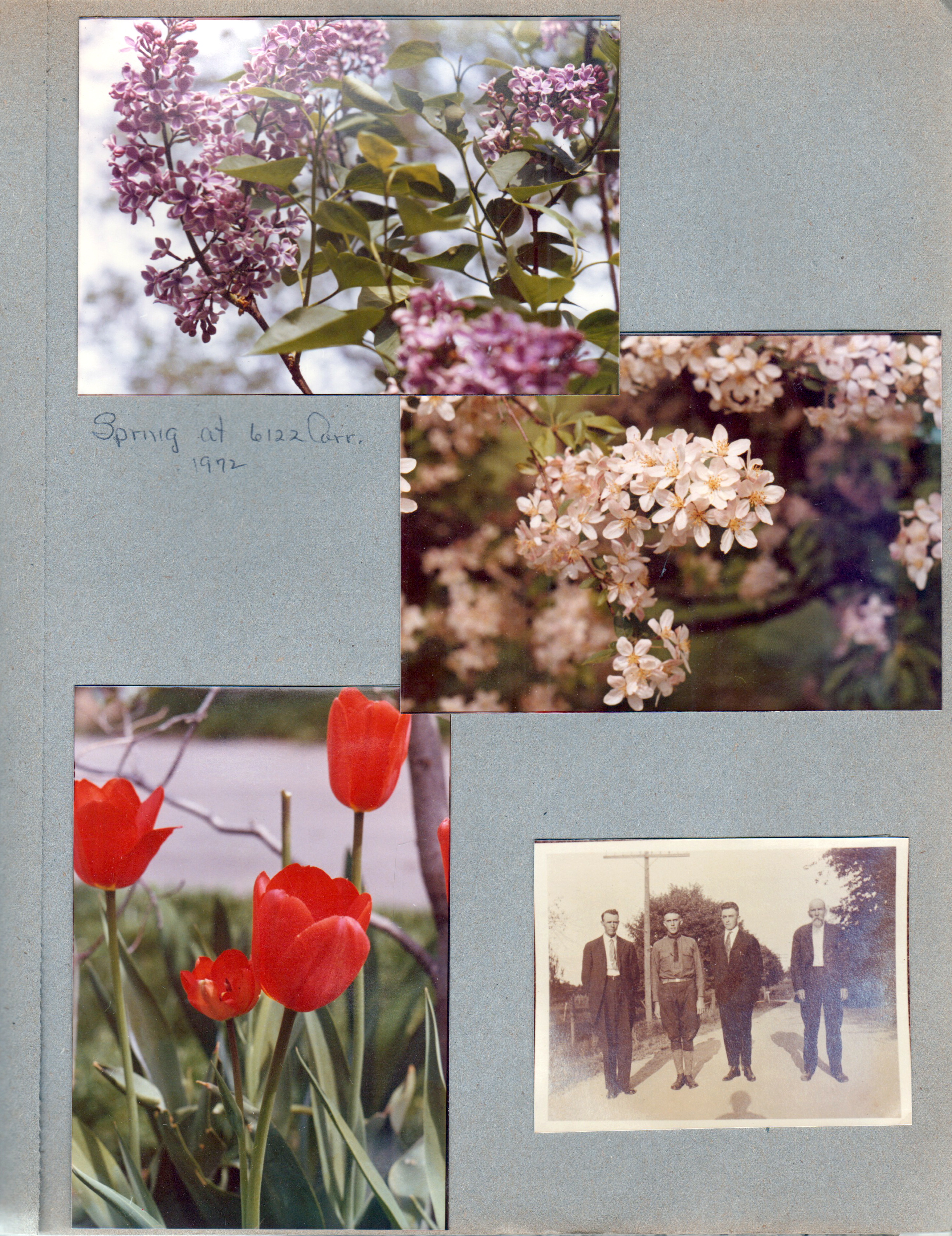 Spring at 6122 - flowering trees. Old photo - John E Hague, Girstle Hague, Glen Hague, Samuel Tom Hague.