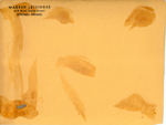 Warren Letsinger photo envelope