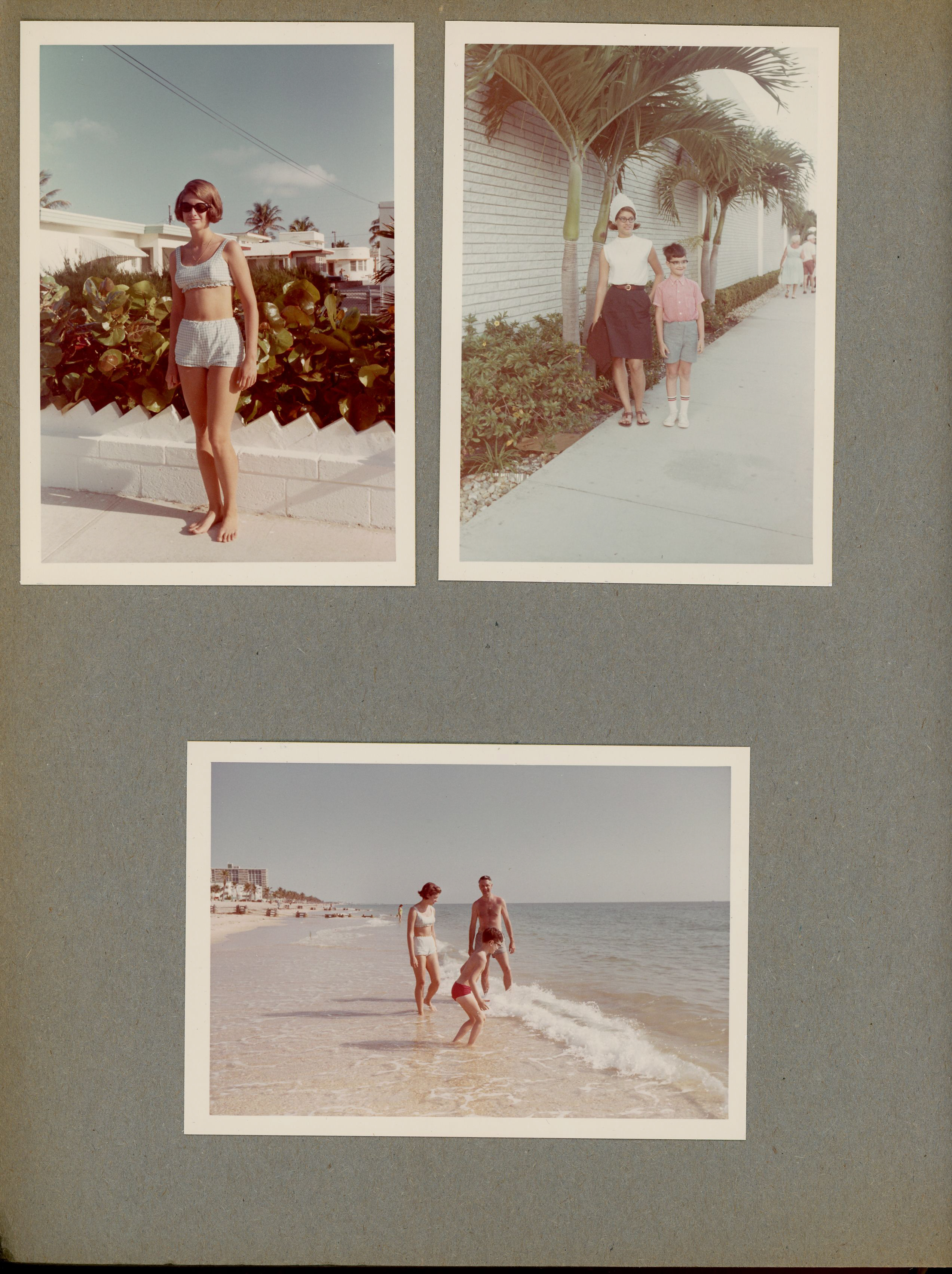 newspaper clipping - newspaper clipping - newspaper clipping - newspaper clipping - newspaper clipping - newspaper clipping - 