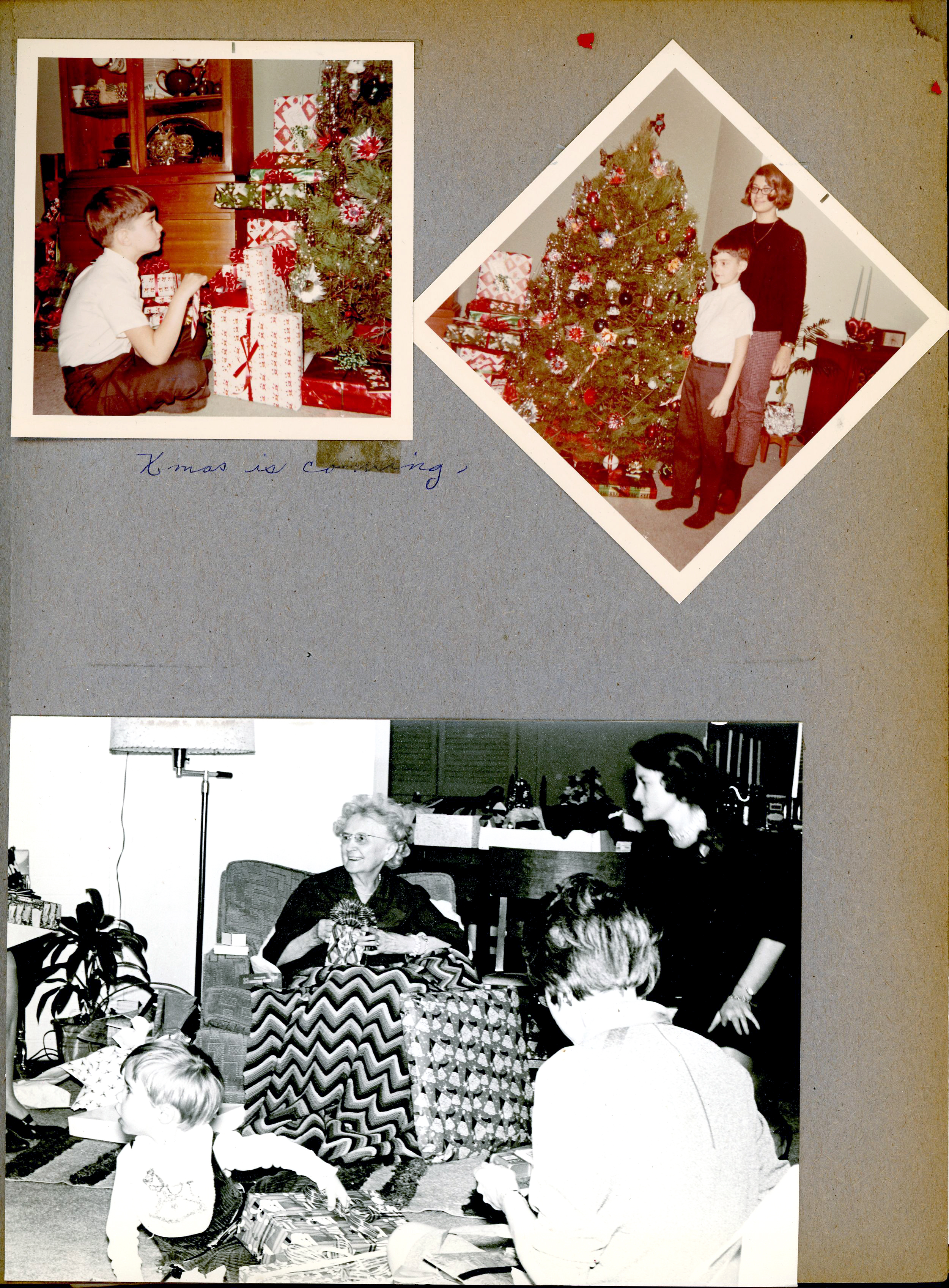 newspaper clipping - newspaper clipping - newspaper clipping - newspaper clipping - newspaper clipping - newspaper clipping - 