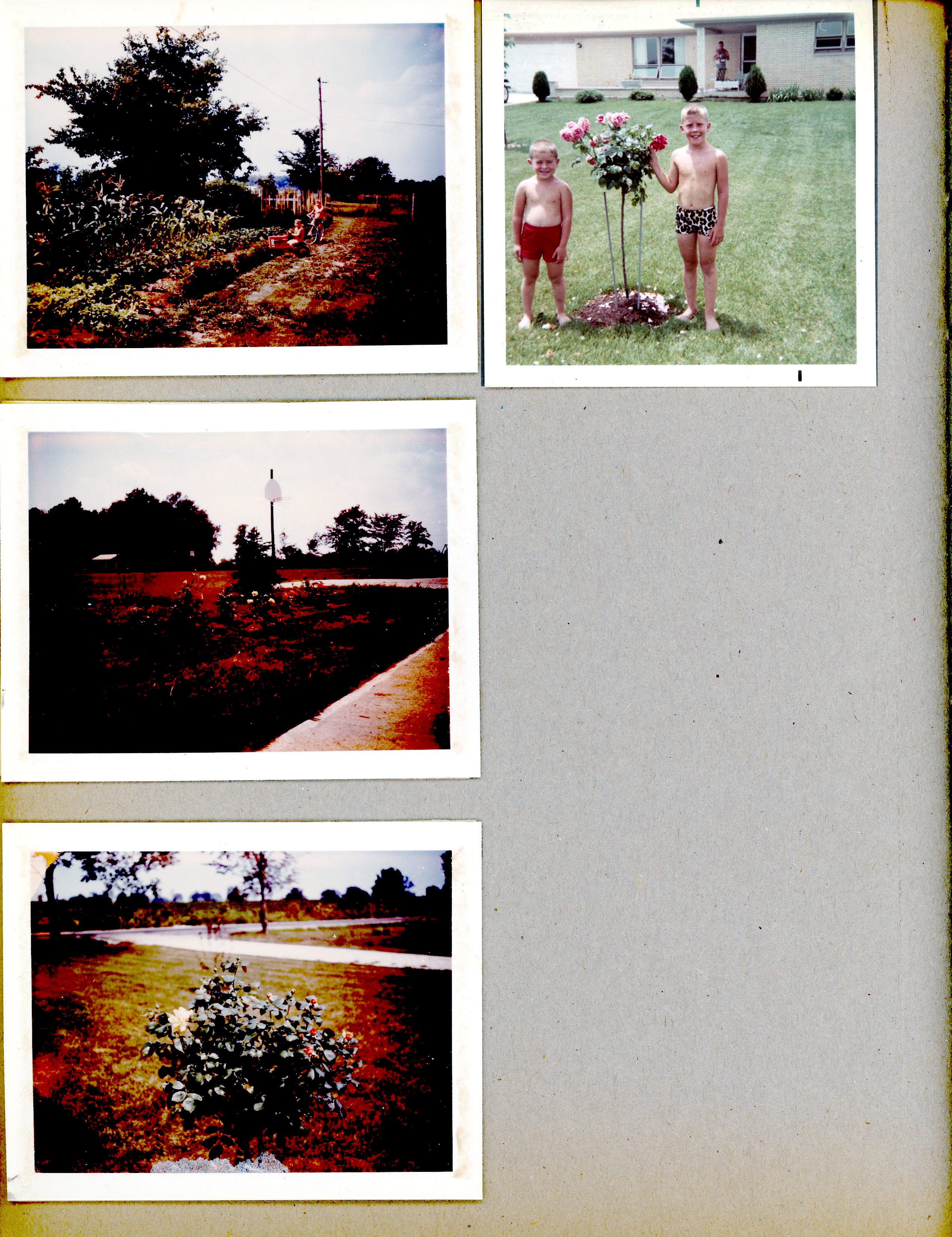 newspaper clipping - newspaper clipping - newspaper clipping - newspaper clipping - newspaper clipping - newspaper clipping - 